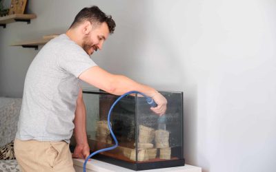 Moving a Fish Tank | Conroy Removalists