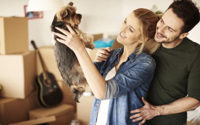 moving-with-pets