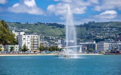 why-aussies-are-moving-to-wellington-in-droves